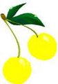 Yellow-Cherrys - Fotoalbum