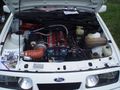 Ford Treffen Focusfans 2008 40366354