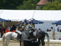 Simmeringer Pferdetage >>>Horse 21274861