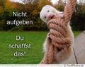 einige bilder 22919433