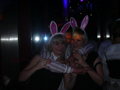 Fasching 2008 33833934