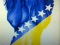 bosna 23312694