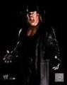 Undertaker 45508141