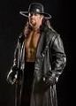 Undertaker 45508314