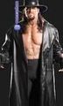 Undertaker 45508319