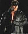 *the undertaker* 21249701