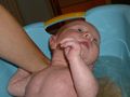 ?Mein Zwergii? 58275200
