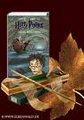 Harry Potter*breitgrins* 23947960