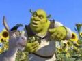 Shrek 24009466