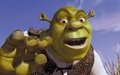 Shrek 24009480