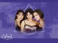 Charmed 24010239