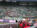 RB Salzburg-Rapid Wien 35853059