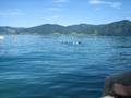Attersee-Tour 2006 9169817