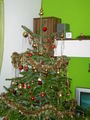 Weihnachten 2008 50645442