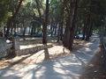 Makarska 2009 65222816