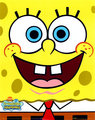 patrick star  + spongebob squarepants :) 14067961