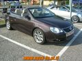 Treffen Lignano 2008 42060066