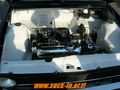 Treffen Lignano 2008 42060137