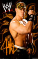 wwe 34177253