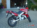 Geil 22008907