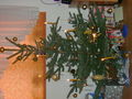 weihnachten 2008 51605949