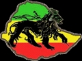 -->__Rastafari**__Lion__**Rastafari__ 32593779