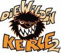 Die wilden kerle 22229752