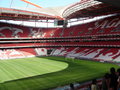 Club Benfica Lissabon 22407662
