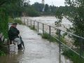 Hochwasser 43848405