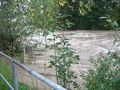 Hochwasser 43848573