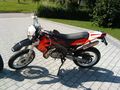 Aprilia SX 50 Red lion 69588437