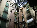 Reisen! Barcelona Februar 2008 45045663