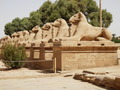 Urlaub Ägypten 76640573