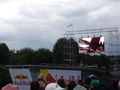 Red Bull Flugtag 47713224