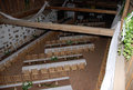 Hochzeit von Birgit und Gogi 28755351