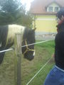 Illi mit ihrn killerpony!!!!*gg* 58645494