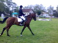 Reiterpass 2008 44264448