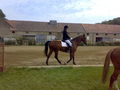 Reiterpass 2008 44264585