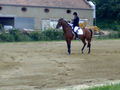 Reiterpass 2008 44264588