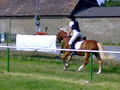 Reiterpass 2008 44264591