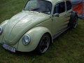 VW Käfertreffen 07 26544774