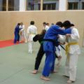 Judo 30012304