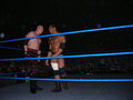 Wrestlemania Revenge Tour 2007 28213840