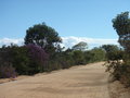 Sao Jorge & Chapada dos Veadeiros 22419683