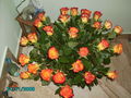 Blumen!! 71143373