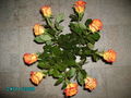 Blumen!! 71143376