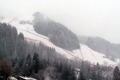 Kitzbühel 2008 33145649