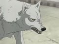 Wolf's Rain 46602521