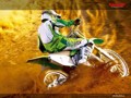 Motocross 35431865