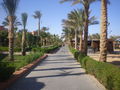 Imperial Sharm El Sheikh Magic Life 69002037